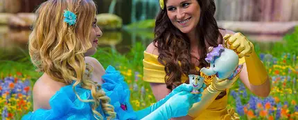 La boda de las princesas Disney La boda de las princesas Disney