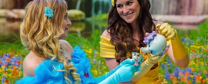 La boda de las princesas Disney La boda de las princesas Disney