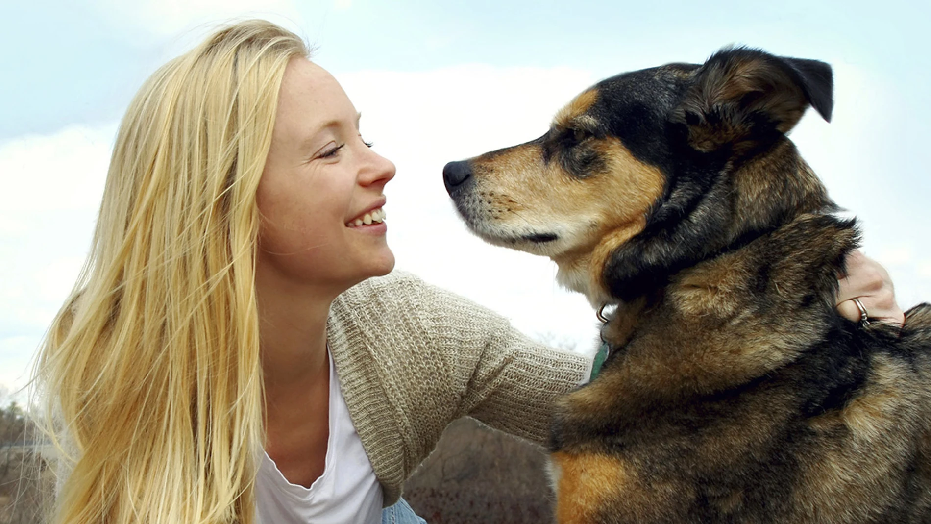 Nueva York aprueba una ley para que las mascotas puedan ser enterradas junto a sus dueños Nueva York aprueba una ley para que las mascotas puedan ser enterradas junto a sus dueños
