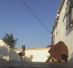 Un militar se esconde y le da a su perro la sorpresa de su vida al volver a casa Un militar se esconde y le da a su perro la sorpresa de su vida al volver a casa