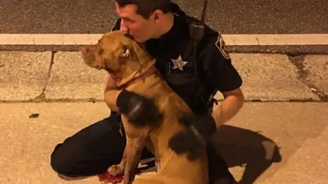El agente de Policía abrazando a uno de los pitbulls