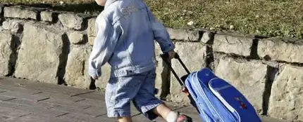 El carrito escolar es mejor para la espalda de los niños que la mochila El carrito escolar es mejor para la espalda de los niños que la mochila