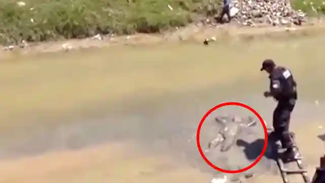 El hombre hallado en la orilla del río