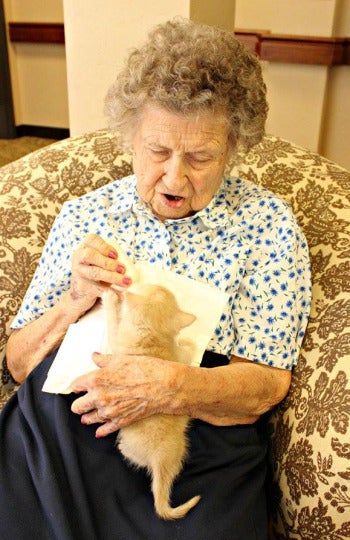 Los ancianos de una residencia proprocionan cariño y cuidados a gatitos abandonados 