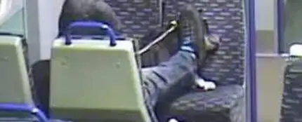 Maltrato animal en un tren de Reino Unido Maltrato animal en un tren de Reino Unido