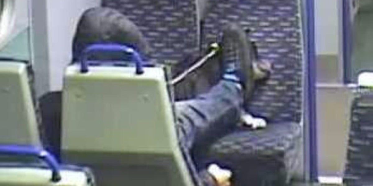 Maltrato animal en un tren de Reino Unido