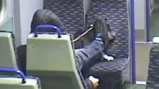 Maltrato animal en un tren de Reino Unido