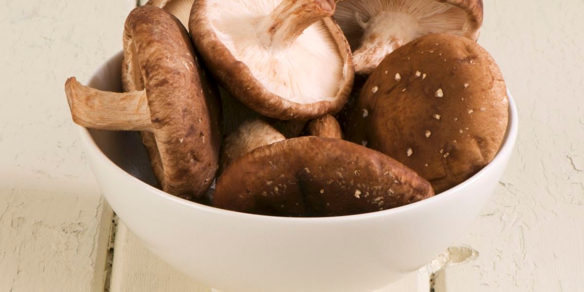 Setas shiitake