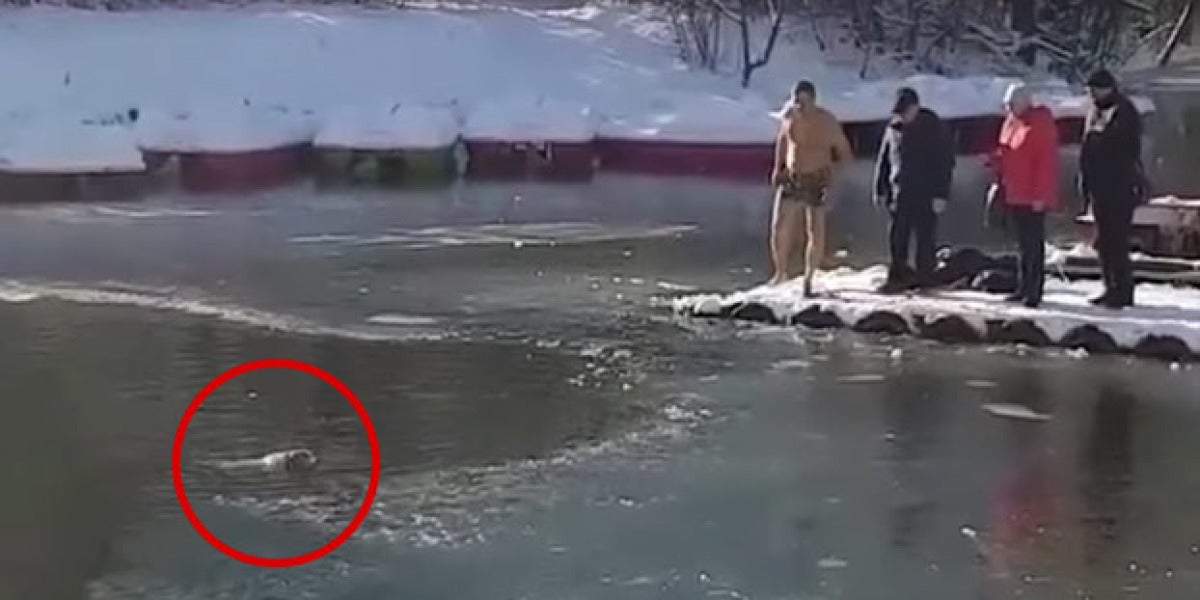 Un hombre salva a su perro atrapado en un lago
