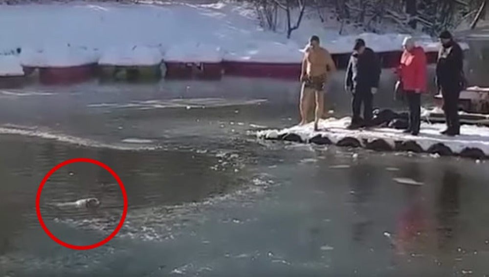 Un hombre salva a su perro atrapado en un lago