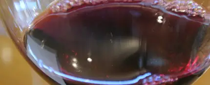 Copa de vino Copa de vino