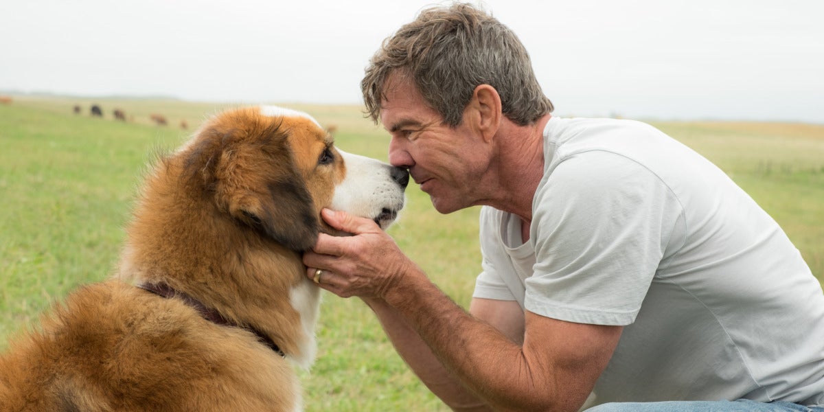 A dog’s purpose, con Dennis Quaid