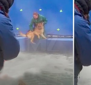 Vídeo filtrado del rodaje de A dog’s purpose Vídeo filtrado del rodaje de A dog’s purpose