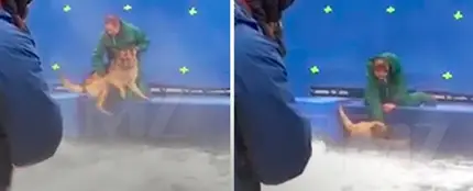 Vídeo filtrado del rodaje de A dog’s purpose Vídeo filtrado del rodaje de A dog’s purpose