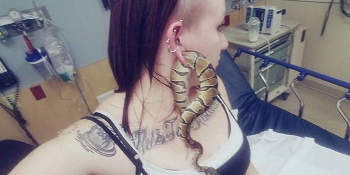 Serpiente atrapada en la oreja de Ashley Glawe