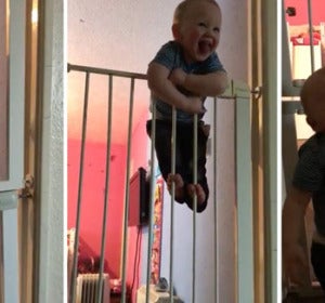Leo Westlake, tiene solo 21 meses de edad y es un auténtico escapista Leo Westlake, tiene solo 21 meses de edad y es un auténtico escapista
