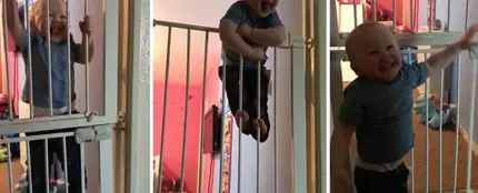 Leo Westlake, tiene solo 21 meses de edad y es un auténtico escapista Leo Westlake, tiene solo 21 meses de edad y es un auténtico escapista