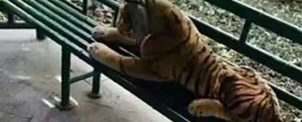 El tigre de peluche tumbado en un parque de China El tigre de peluche tumbado en un parque de China