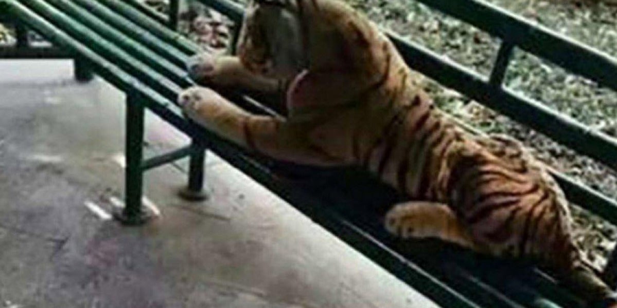 El tigre de peluche tumbado en un parque de China