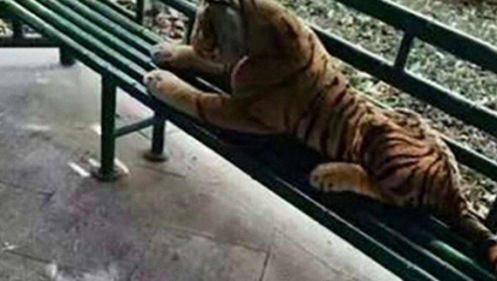 El tigre de peluche tumbado en un parque de China