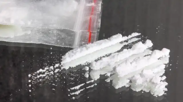 Cocaína (Archivo)