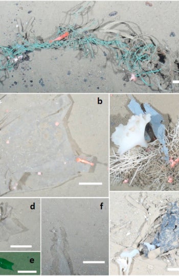 Ejemplos de residuos encontrados en el Océano Ártico