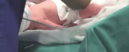 Una mujer de 64 años da a luz a gemelos en Burgos tras someterse a una fecundación 'in vitro' Una mujer de 64 años da a luz a gemelos en Burgos tras someterse a una fecundación 'in vitro'