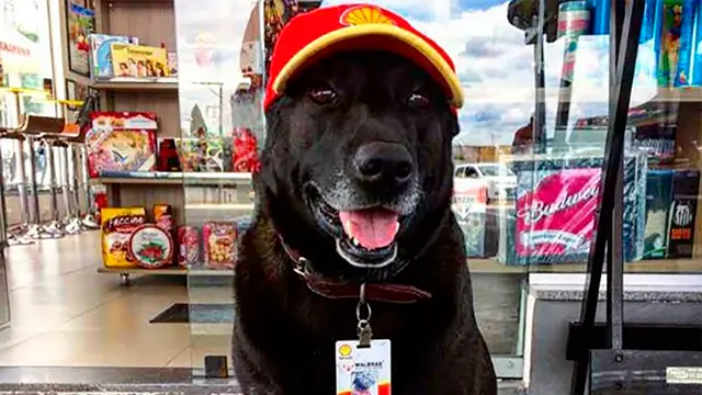 Negao con su uniforme de trabajo
