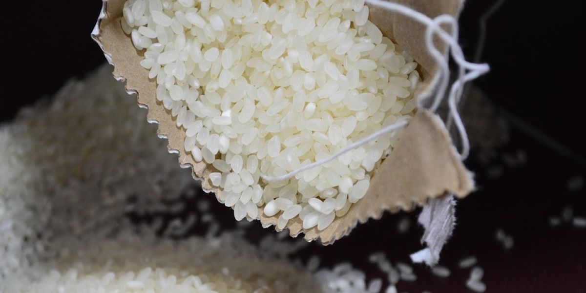Arroz blanco