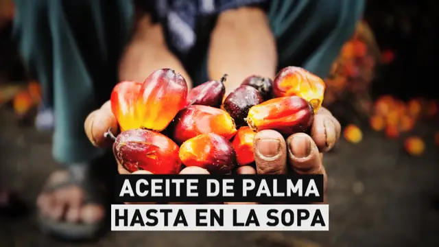 Aceite de palma