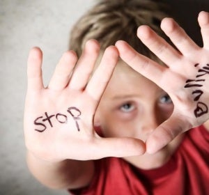 Lucha contra el Bullying y el Acoso Escolar Lucha contra el Bullying y el Acoso Escolar
