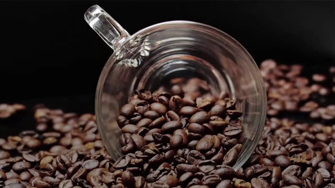 El café, beneficioso para la salud con moderación El café, beneficioso para la salud con moderación