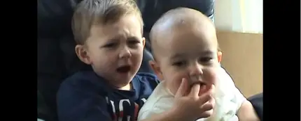 Los hermanos del viral 'Charlie bit my finger' Los hermanos del viral 'Charlie bit my finger'