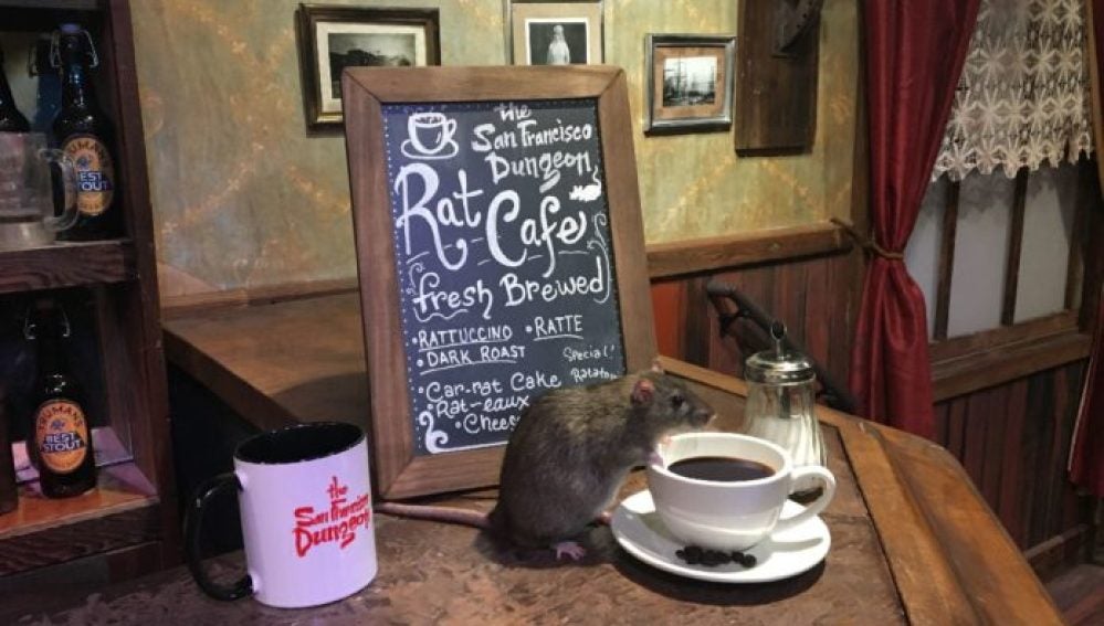 Black Rat Cafe