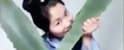 Una blogger china acaba en urgencias tras ingerir una planta venenosa Una blogger china acaba en urgencias tras ingerir una planta venenosa