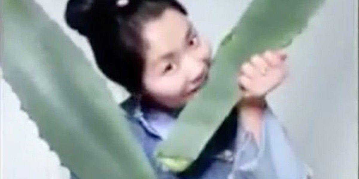 Una blogger china acaba en urgencias tras ingerir una planta venenosa