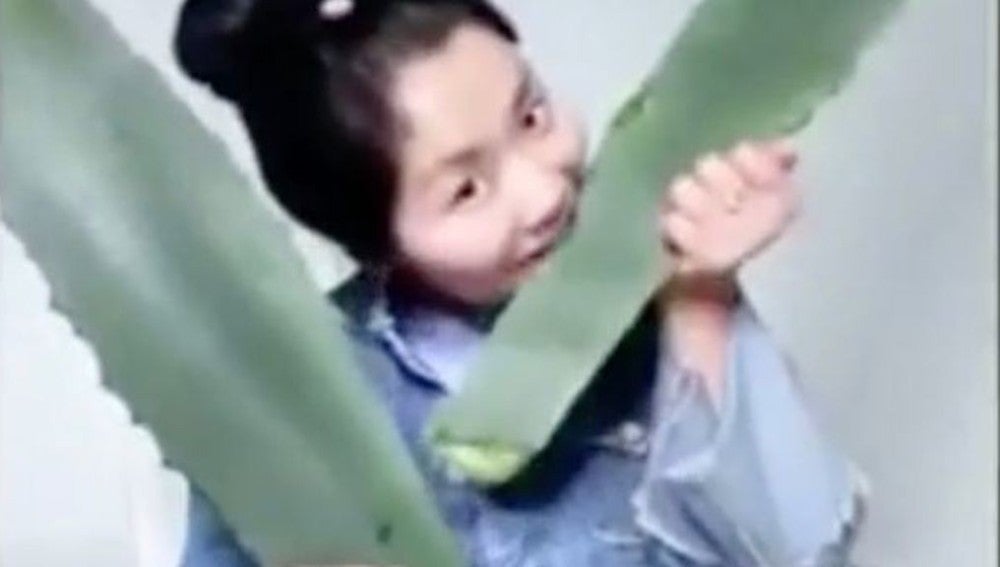 Una blogger china acaba en urgencias tras ingerir una planta venenosa