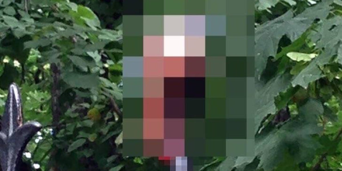 Un hombre pierde el pene al saltar una valla metálica cuando iba borracho