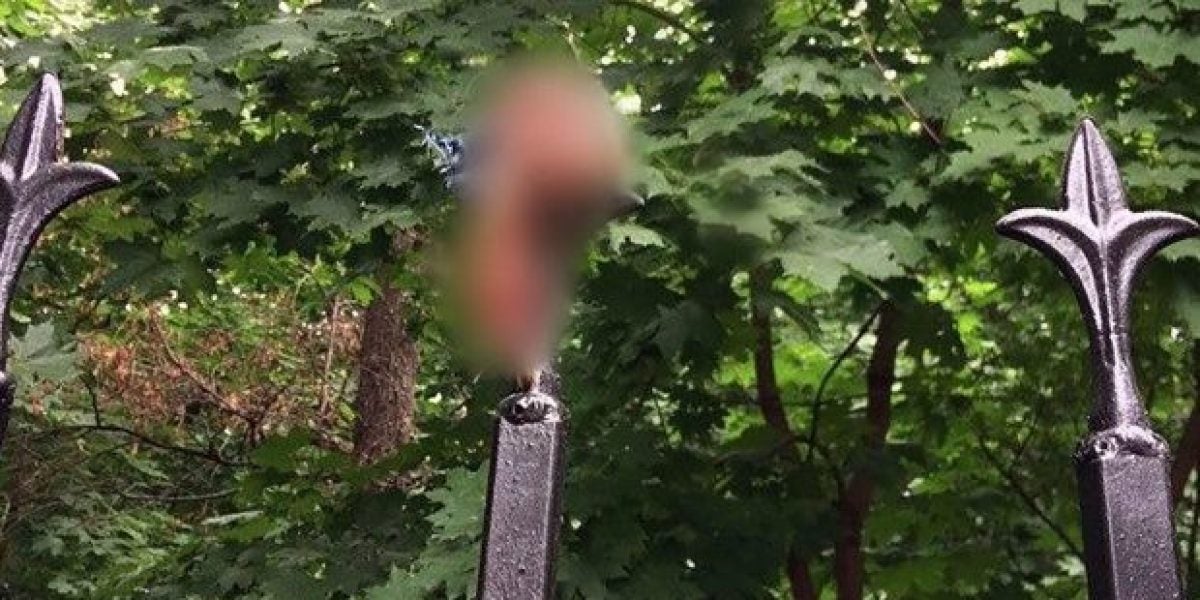 Un hombre se arranca el pene de cuajo al saltar una valla borracho