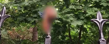 Un hombre se arranca el pene de cuajo al saltar una valla borracho Un hombre se arranca el pene de cuajo al saltar una valla borracho