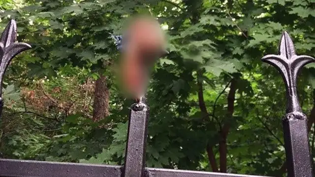 Un hombre se arranca el pene de cuajo al saltar una valla borracho
