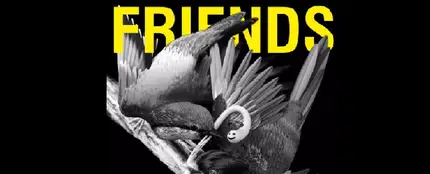 Friends, el nuevo single de Justin Bieber junto a Bloodpop Friends, el nuevo single de Justin Bieber junto a Bloodpop