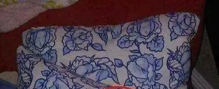 El curioso estampado de estos cojines El curioso estampado de estos cojines