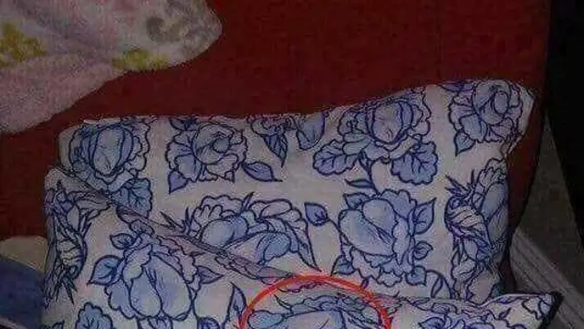 El curioso estampado de estos cojines