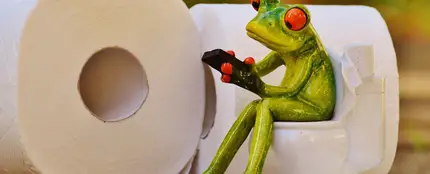 Ir al baño en vacaciones es posible. Te contamos cómo Ir al baño en vacaciones es posible. Te contamos cómo