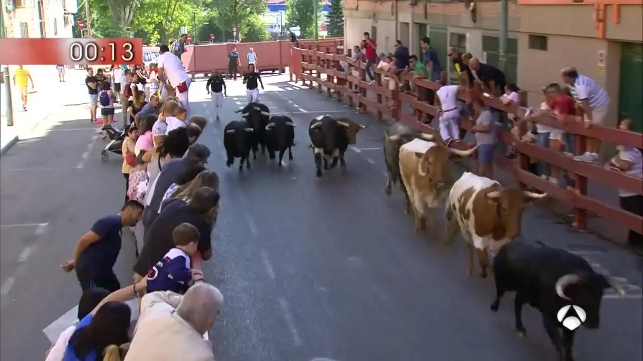 Sexto encierro de las fiestas de San Sebastián de los Reyes 2017, con toros de Guadalmena. Sexto encierro de las fiestas de San Sebastián de los Reyes 2017, con toros de Guadalmena.
