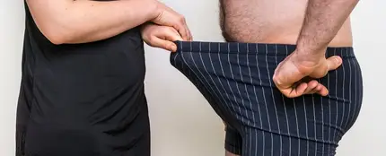 Erección Erección