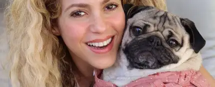 Shakira con el famoso 'Doug the pug' Shakira con el famoso 'Doug the pug'