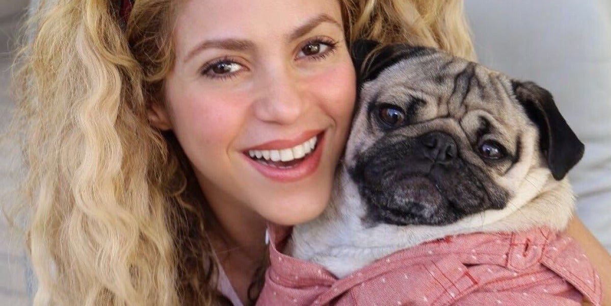 Shakira con el famoso 'Doug the pug'