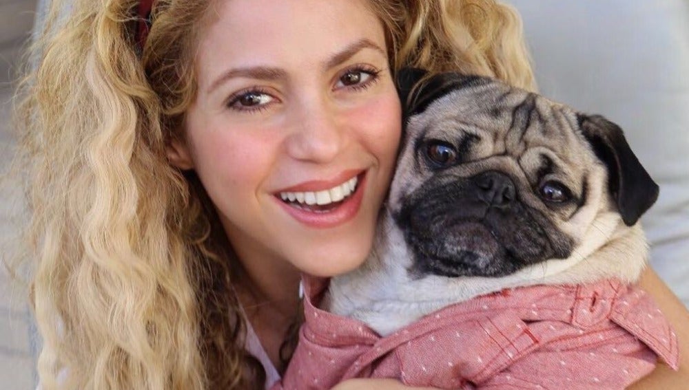 Shakira con el famoso 'Doug the pug'